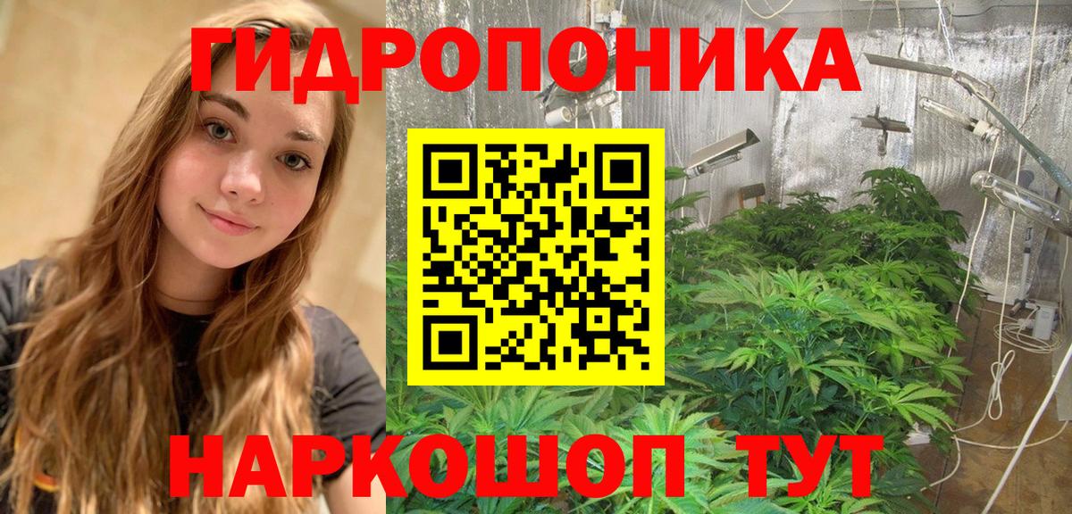 Конопля сатива Казань